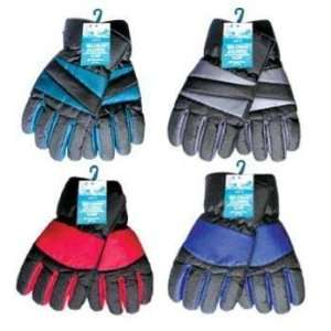  Ladies Assorted SKI Gloves Case Pack 72 