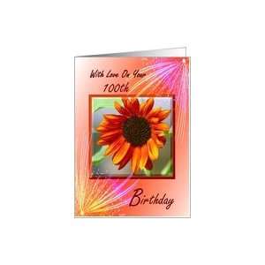   Birthday ~ Sunflower framed with a Fireworks Spray Card Toys & Games
