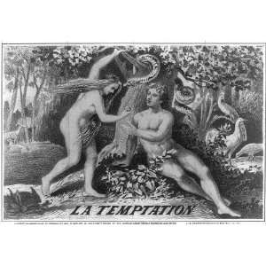    La Temptation Adam & Eve, Tobacco Package Label: Home & Kitchen