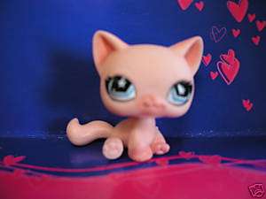 Littlest pet shop Pink Cat #959 09 New release  