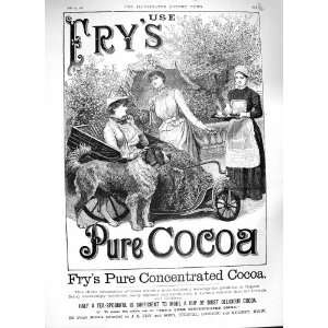  1888 ADVERTISEMENT FRYS PURE COCOA CONCENTRATED LONDON 