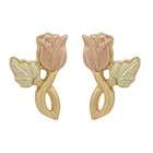 Coleman Black Hills Jewelry   Black Hills 10k Two Tone Rose Earrings