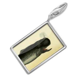 FotoCharms Big Whale   Charm with Lobster Clasp For Charms Bracelet 