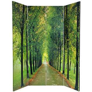 Overstock Canvas Double sided Path of Life Room Divider (China 