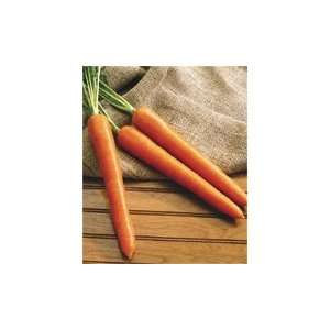  Olympus Carrot Seeds Pack Patio, Lawn & Garden