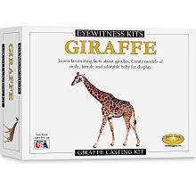 Eyewitness Kit   Giraffe   Skullduggery   Toys R Us