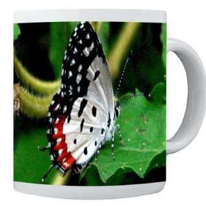   Design Photo Quality 11 oz Ceramic Coffee Mug cup: Kitchen & Dining