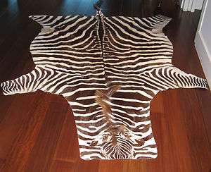 Genuine Super Grade A Burchell Zebra Skin Rug  