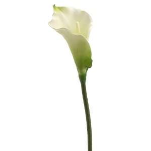 Faux 30 Calla Lily Stem White (Pack of 12): Patio, Lawn 