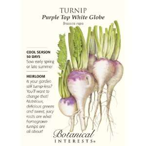  Turnip Purple Top White Globe Seed Patio, Lawn & Garden