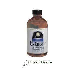  Ion Charge Liquid Trace Minerals   8 oz Health & Personal 