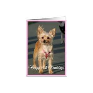  Happy 95th Birthday Chihuahua Dog Card: Toys & Games