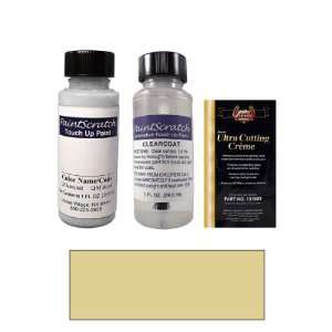   Metallic Paint Bottle Kit for 2000 Fleet Sherwin Williams (51076/5068