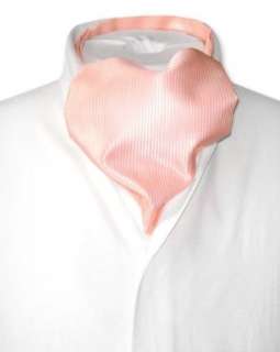   Antonio Ricci ASCOT Solid PEACH Color Cravat Mens Neck Tie: Clothing