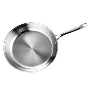   Multi Ply Clad Stainless Steel 10 Inch Fry Pan: Kitchen & Dining