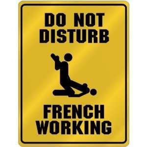  New  Do Not Disturb  French Working  Saint Pierre And 