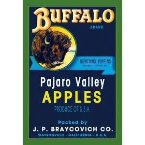  Vintage Art Buffalo Brand Apples   12872 0
