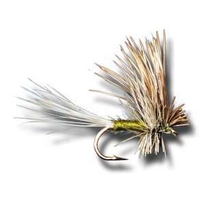 Ugly Duckling   BWO Fly Fishing Fly