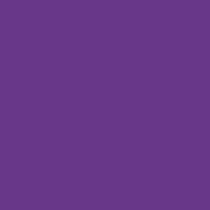  Thompsons Enamels, Grape Purple