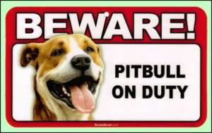 Beware Guard Pitbull on Duty Sign  