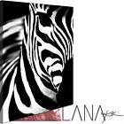   Leinwand Bild Kunstdruck gerahmt Tier Zebra Afrika New Life sw XSh