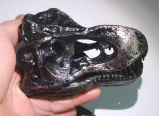   dig dinos for details 1000s of dinosaur toys and fossils for sale