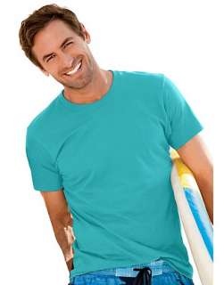 Hanes ComfortBlend EcoSmart Crewneck Mens T Shirt   style 5170  