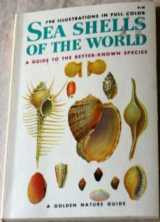 SEA SHELLS OF THE WORLD, A GOLDEN NATURE GUIDE, 1962  