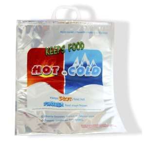   Giant Hot or Cold Insulated Food Bag   Holds 30 Lbs
