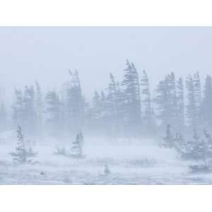  Snow Storm, Blizzard, Churchill, Hudson Bay, Manitoba 