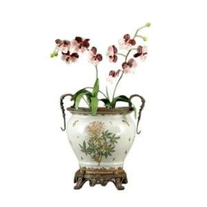  Elegant Cleome Metal Flower Pot