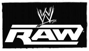 WWE World Wrestling Entertainment RAW Logo PATCH New  