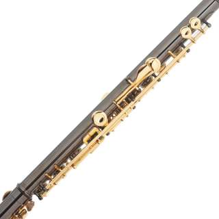 Cecilio Open Hole C FLUTE FE 282BNG Black/Gold Plated  
