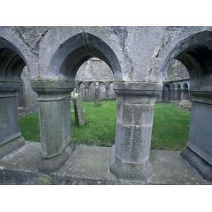  Ross Ereilly Friary, County Mayo, Ireland Premium 