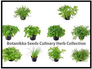  Your Own Herb Seed Collection Kitchen Cooking Culinary Garden .99 SALE
