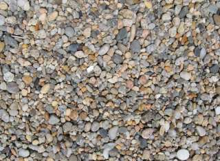 Rhode Island BEACH STONES/AQUARIUM ROCKS Pebbles SMALL  