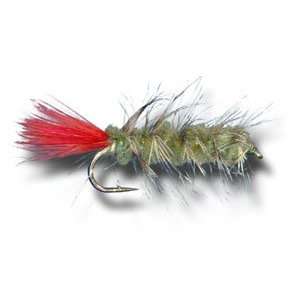  Woolly Worm   Olive Fly Fishing Fly