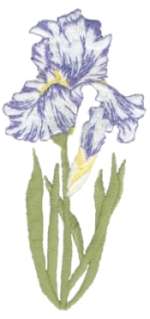 Purple Wht Iris Flower Embroidered Iron On Patch 692327  