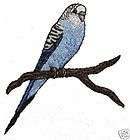 Cute Blue Budgie Parakeet Parrot Bird Iron on Patch
