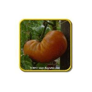   Lb   Amana Orange   Bulk Heirloom Tomato Seeds Patio, Lawn & Garden