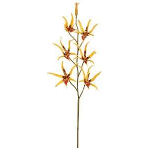  32 Handwrapped Silk Oncidium Papilio Orchid Flower Spray 