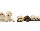   Retriever Puppies Puppy Dog Mural Style PrePasted Wallpaper Border