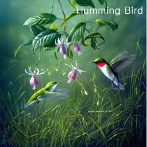   Hummingbird Single Design Microfiber Cleaning Cloths
