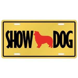  New  Border Collie / Show Dog  License Plate Dog