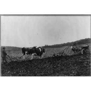   new,tractor and plow,pair of oxen pulling plow,farming